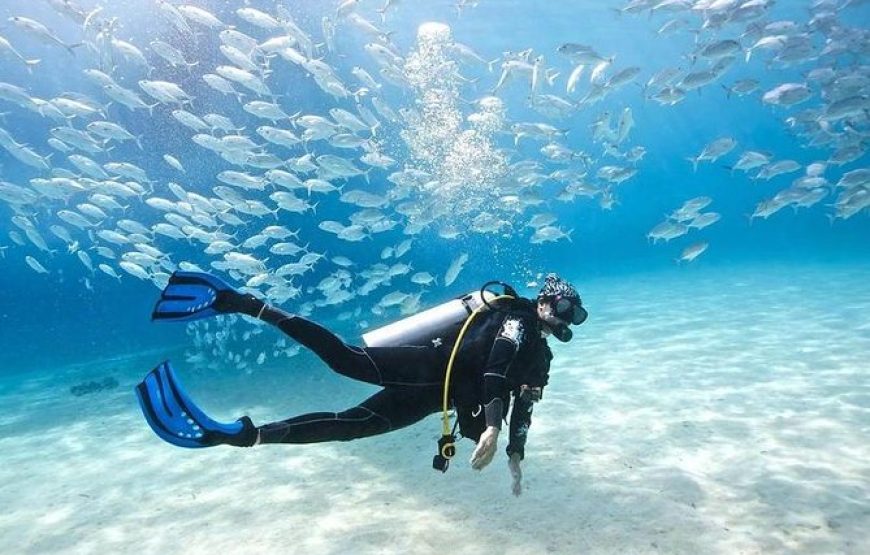 Tauchausflug Tour 4 / Anfänger PADI /SCUBA/CAVES mit einem Gruppen-/Privatlehrer