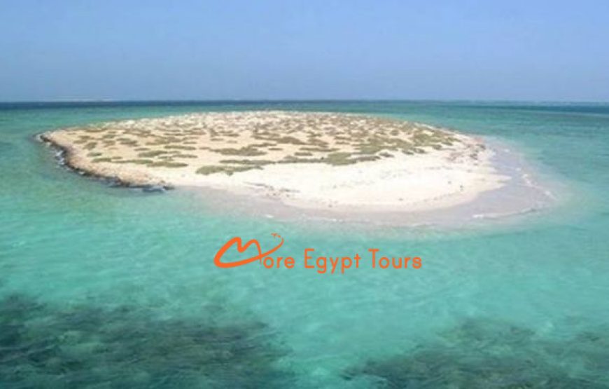 Ausflug Insel Hamata von Marsa Alam