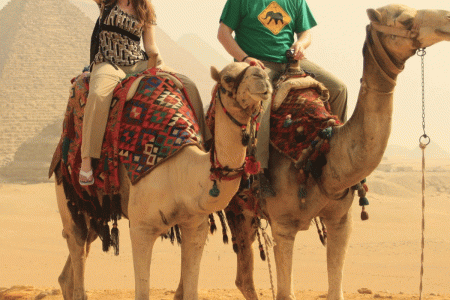 Cairo Wüsten Abenteuer! Erkundung der Pyramiden auf einem Kamel