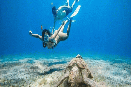 ABU DABBAB Tour zum Schildkröten Strand