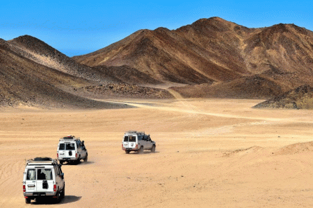 Erleben Sie die Schönheit der Wüste einer anderen Perspektive! Unsere einzigartige Tagestour hoch auf einem Kamel