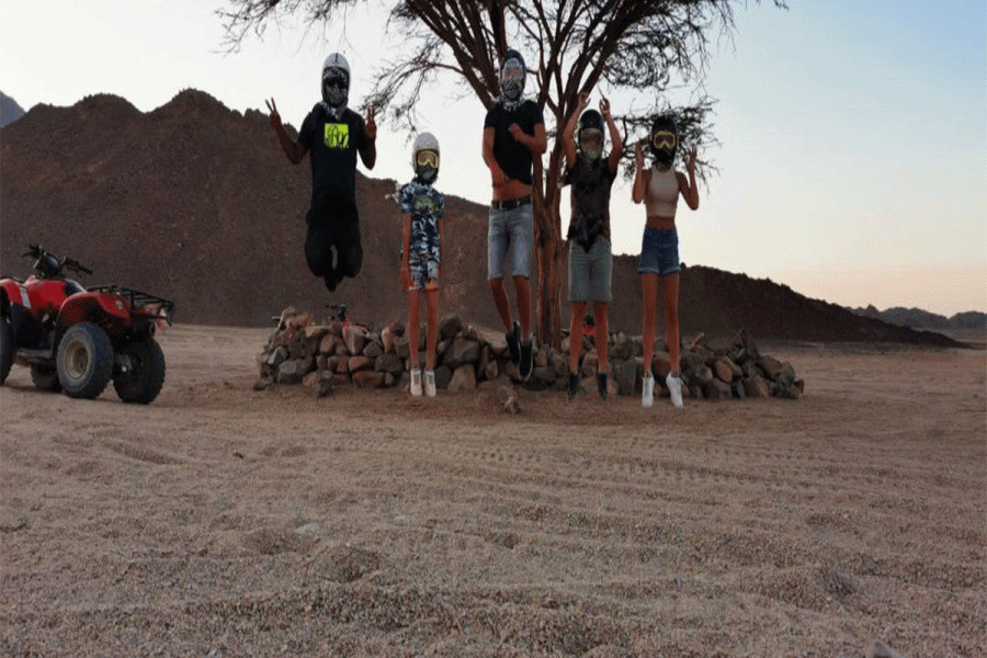 3 Stunden Private Safari Tour