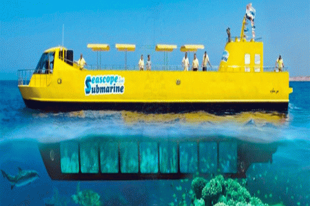 Entdecken Sie die Wunder des Roten Meere! Unser Semi-U-Boot-Abenteuer