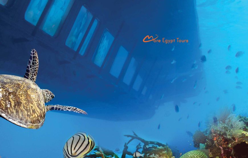 Glasbodenboot Hurghada – Royal Sea Scope