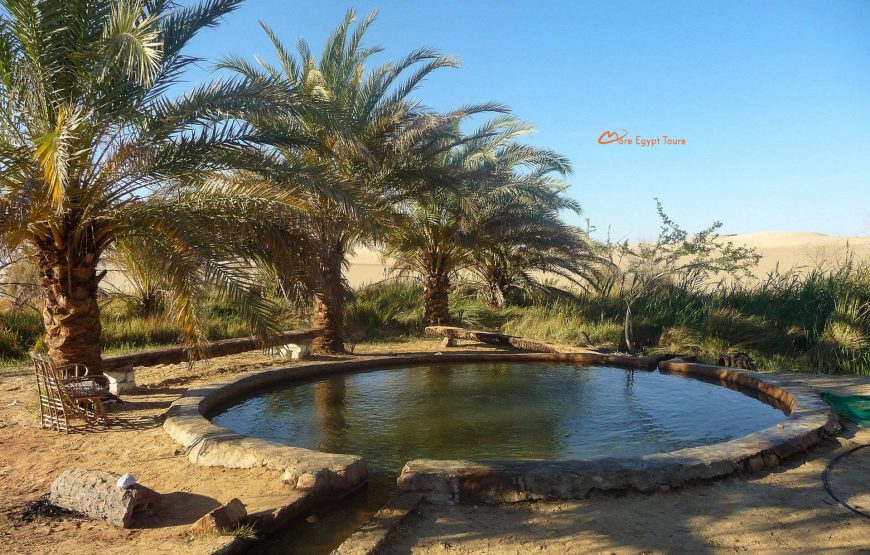 Siwa und Bahariya und weiße Wüste Tour Paket