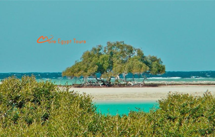 Wadi El Gemal Tour von Marsa Alam Privat