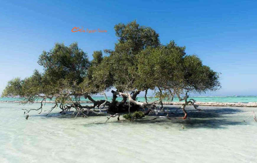Wadi El Gemal Tour von Marsa Alam Privat