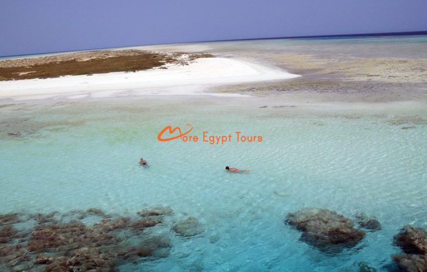 Ausflug Insel Hamata von Marsa Alam