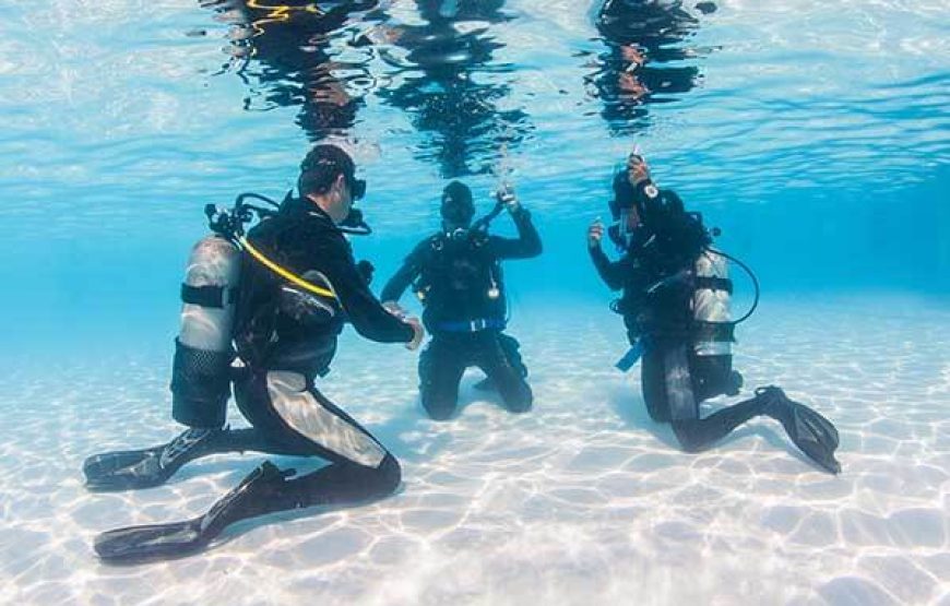 Tauchausflug Tour 4 / Anfänger PADI /SCUBA/CAVES mit einem Gruppen-/Privatlehrer