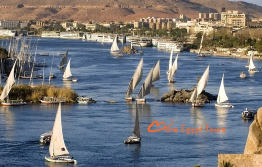 Private Tour zu den Tempeln Abu Simbel und Nafartari