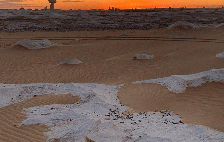 Safari-Abenteuer in der Bahariya-Oase