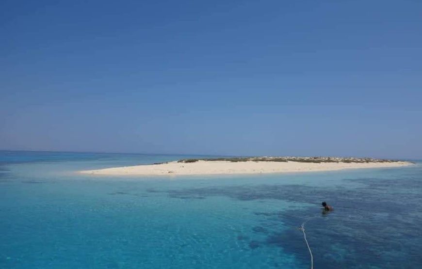 Dolphin House Schnorcheln & Schwimmen Tagestour mit Mittagessen