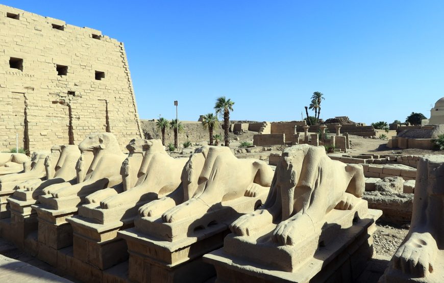 Private Luxor Tagestour