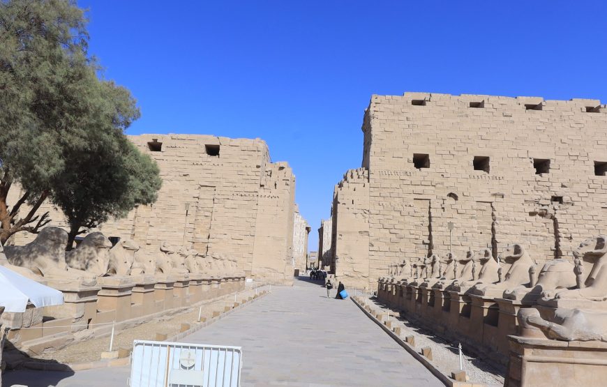 Private Luxor Tagestour