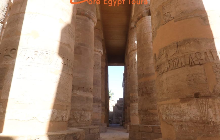 Private Luxor Tagestour