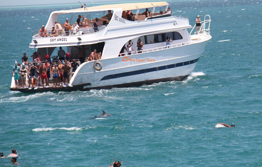 Schnorchelausflug von Hurghada zum Delfinhaus