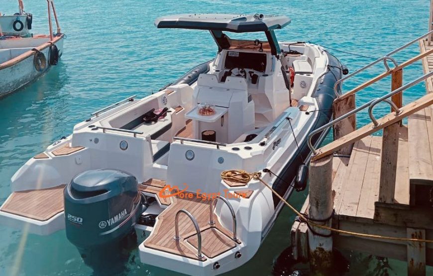 Privates Schnellboot zum Dolphin House mit Abholung