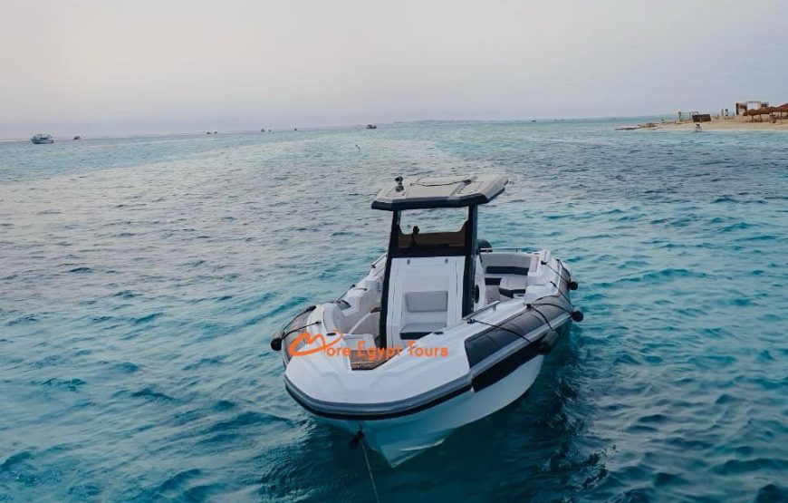 Privates Schnellboot zum Dolphin House mit Abholung