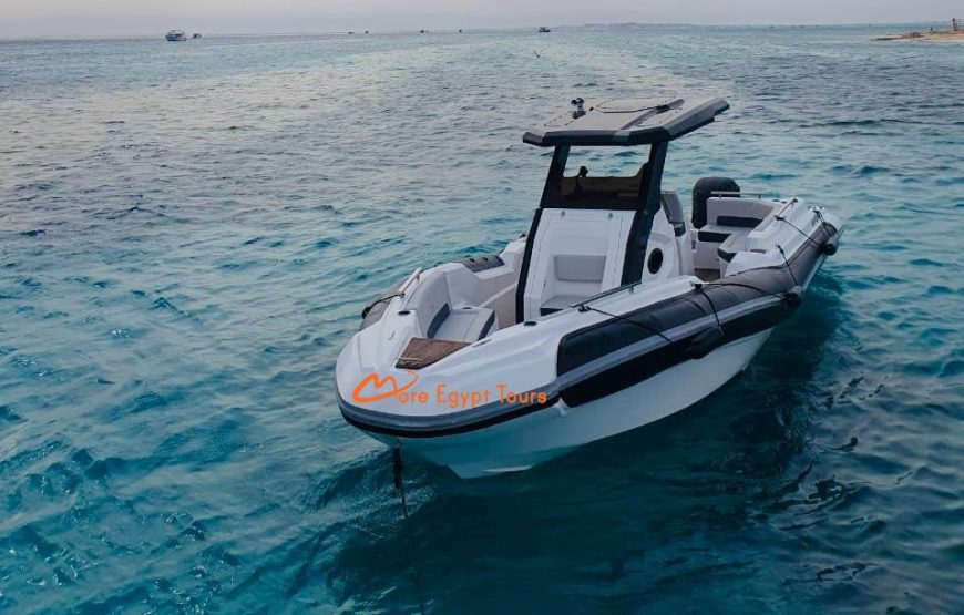 Privates Schnellboot zum Dolphin House mit Abholung