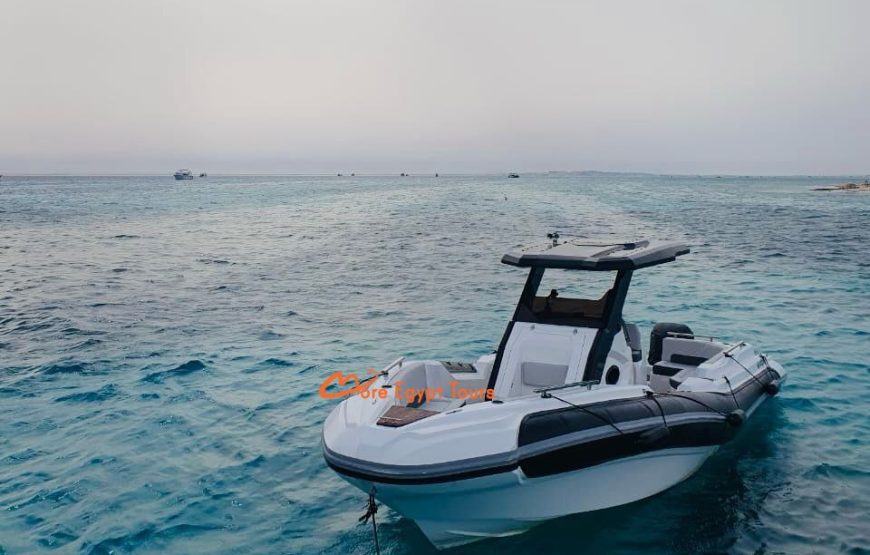 Privates Schnellboot zum Dolphin House mit Abholung