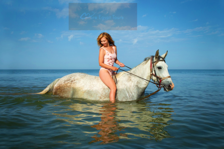 3 Stunden Reiten am Strand - Sonne – Schwimmen im Roten Meer zu Pferd