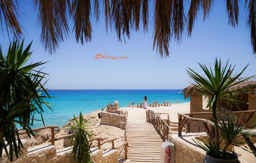 Mahmya Insel Hurghada Schnorcheln Tagesausflug