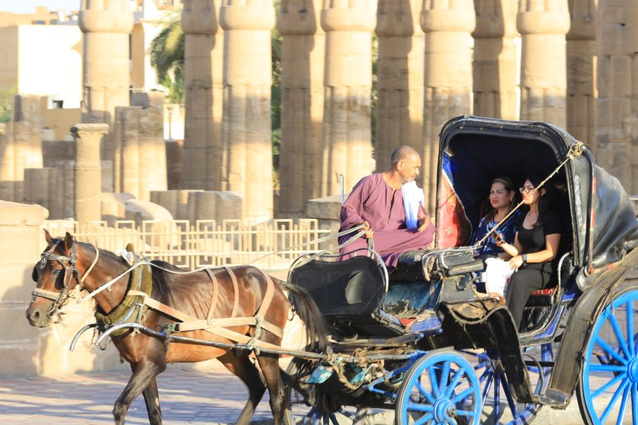 Eine Tour durch die Stadt Luxor mit einer Pferdekutsche