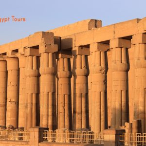 Eine Tour durch die Stadt Luxor mit einer Pferdekutsche
